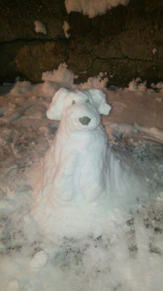 Sáta