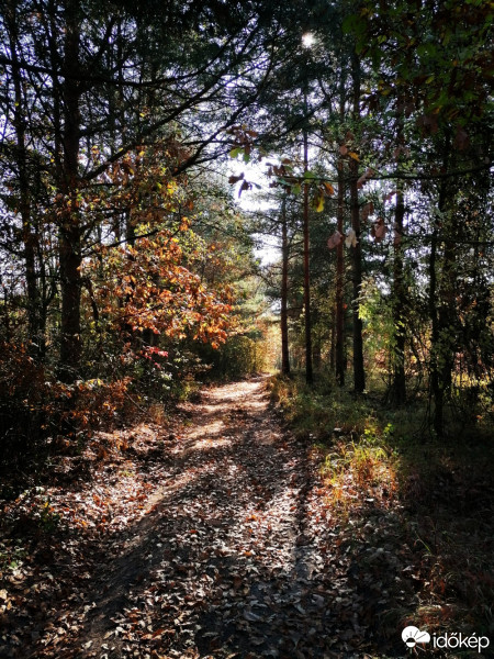 Sáta