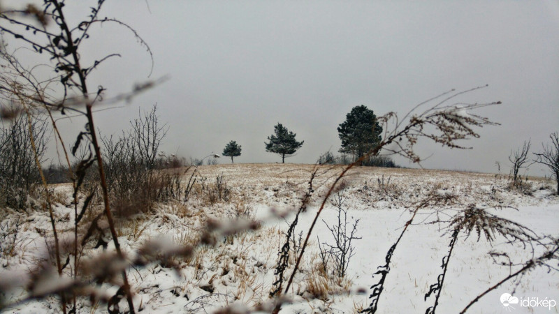 Sáta