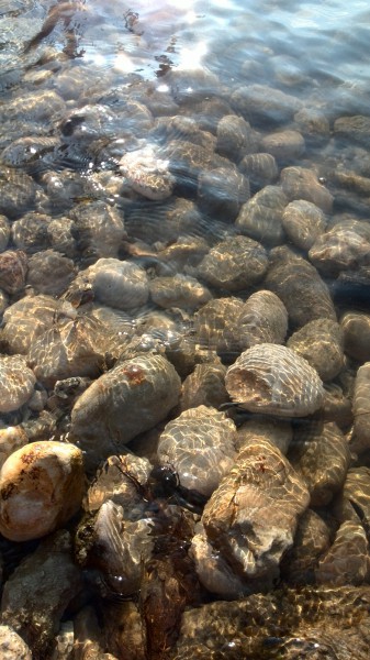 A Balaton partján :)