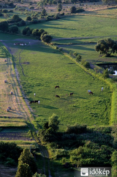 Legelő