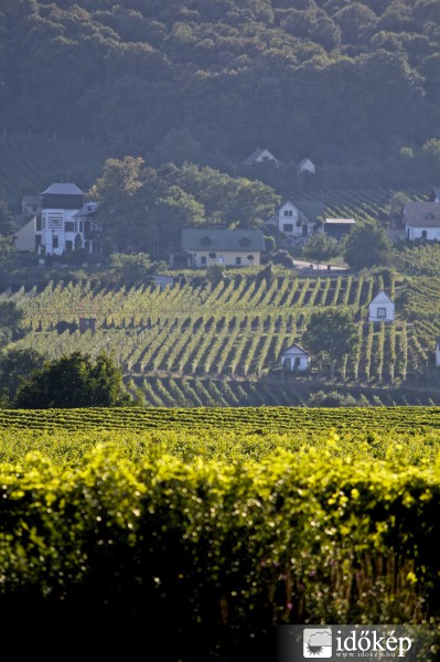 Villány