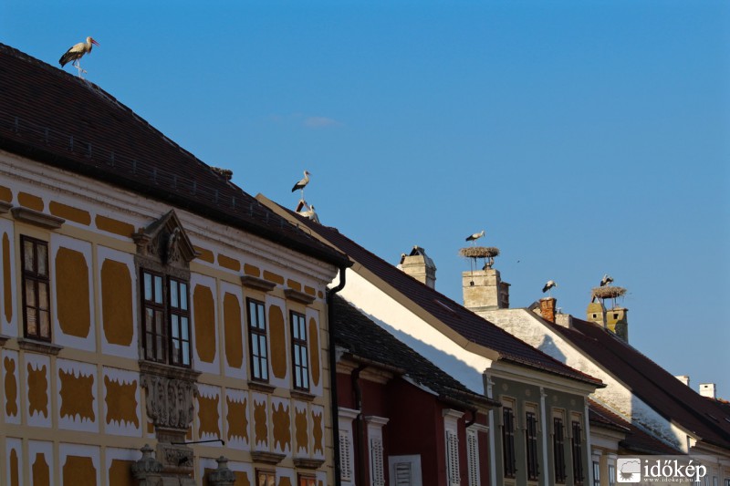 A gólyák városa