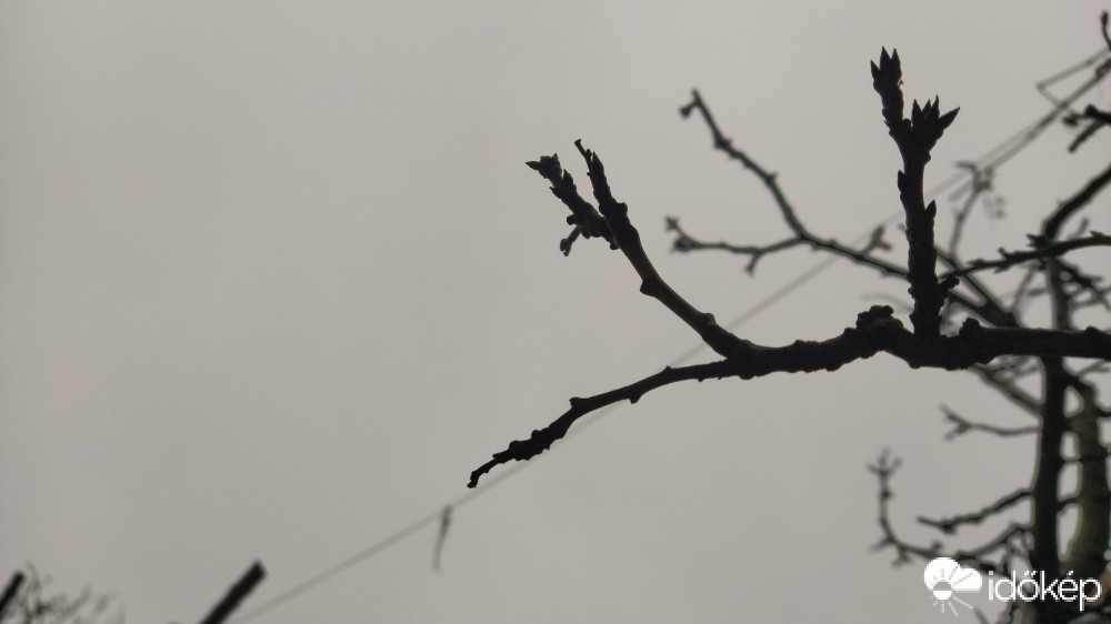 Budapest XX.ker - Pesterzsébet