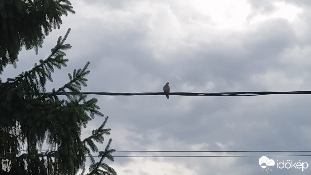 Budapest XX.ker - Pesterzsébet