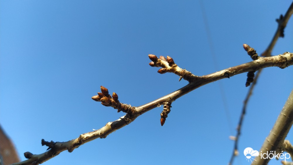 Budapest XX.ker - Pesterzsébet