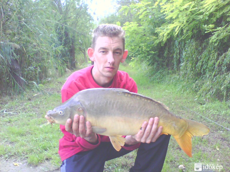 Ponty