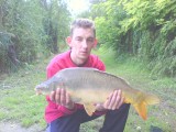 Ponty