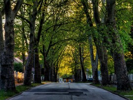 Nagykanizsa