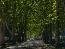 Nagykanizsa