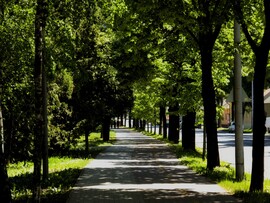 Nagykanizsa