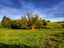 Nagykanizsa