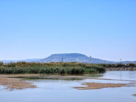 Balatonboglár