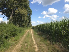 Nagykanizsa