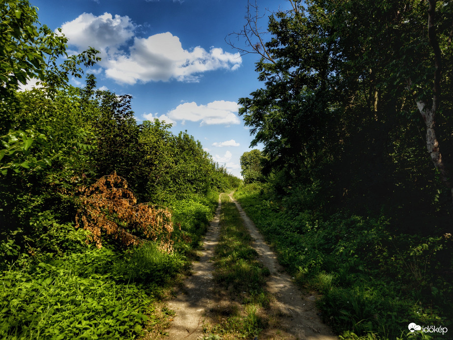 Nagykanizsa