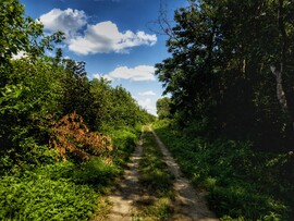 Nagykanizsa