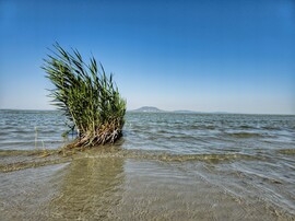 Balatonmáriafürdő