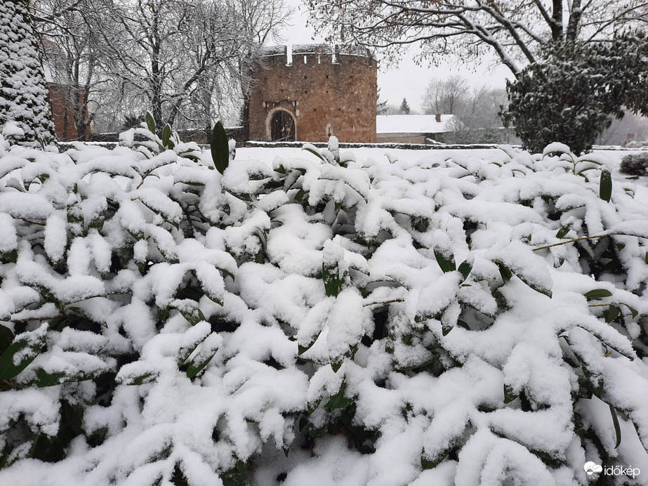 Pécs