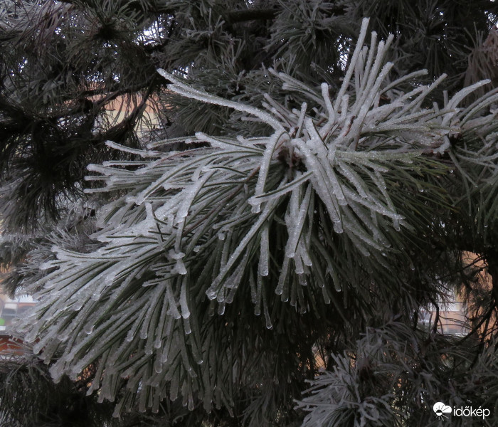 Körbeölelve a jégtől