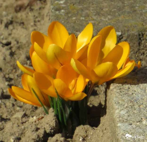 Napenergia begyűjtés