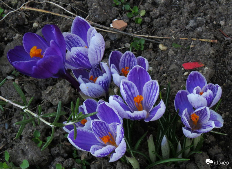 Ma a csíkos a trendi