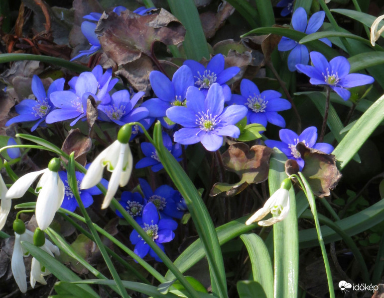 Van, akik jönnek, mások mennek