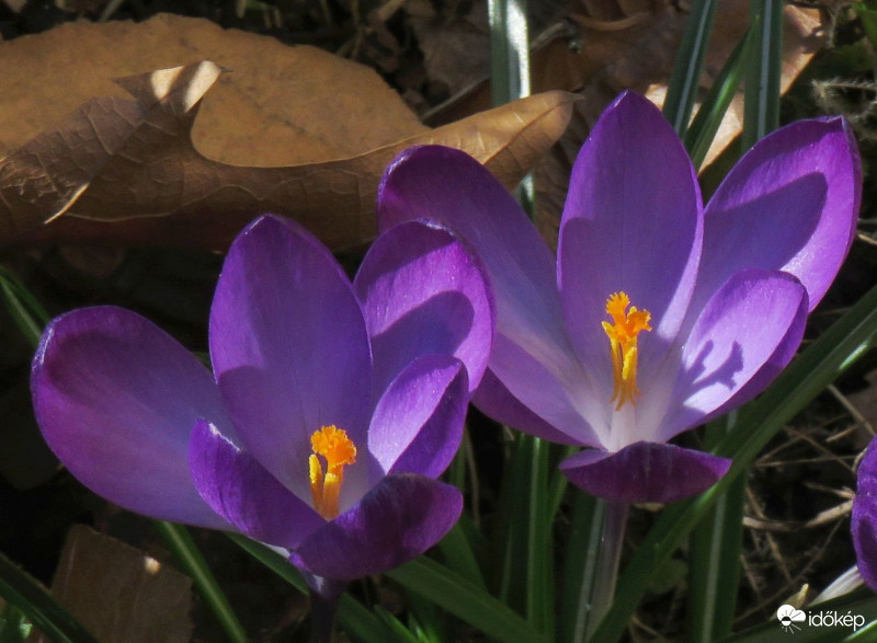 A fény és árnyék játéka