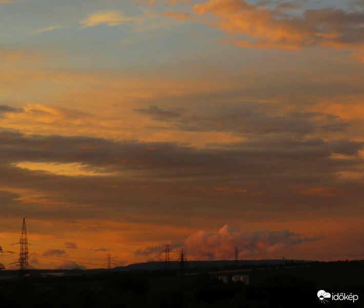 Narancs színben pompázott