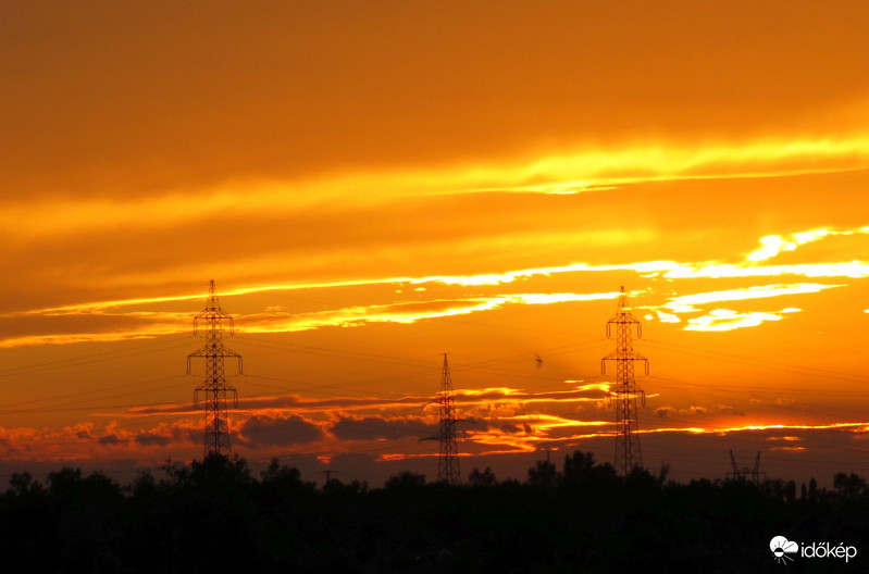 Narancs színbe öltözve