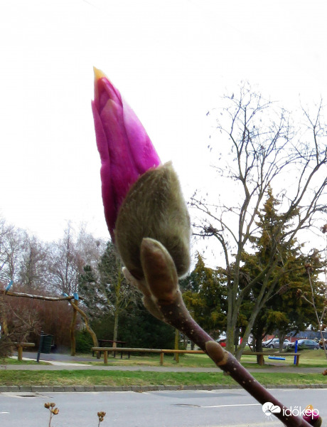 Egy kis melegre várva