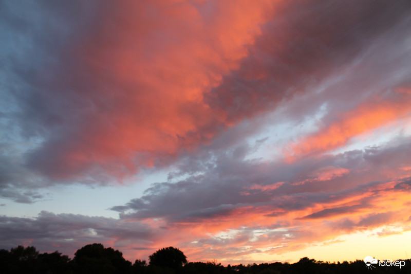 Megint rózsaszínben