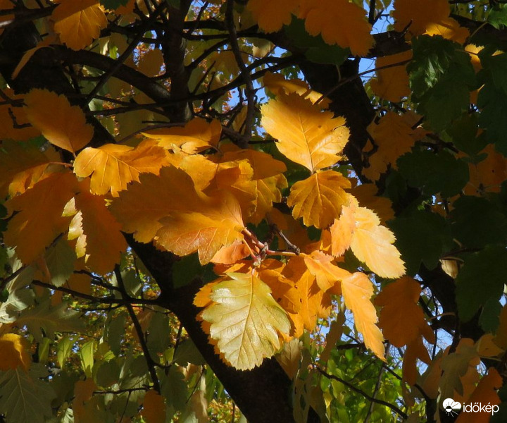 Árnyak és fények!