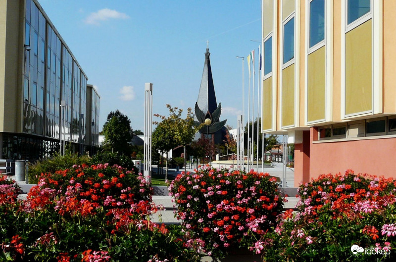 Muskátliözönben 