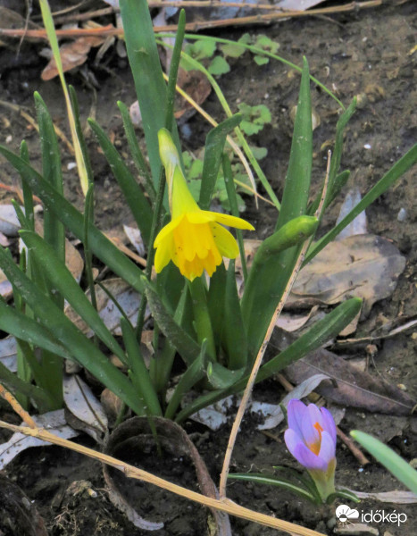 A pici és a nagy párbeszéde