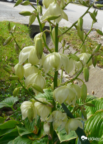 Mintha június lenne