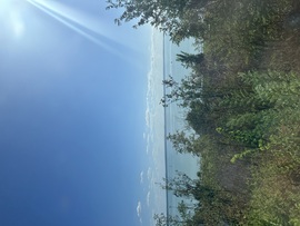 Panoráma a balatonakarattyai magaspartról. 