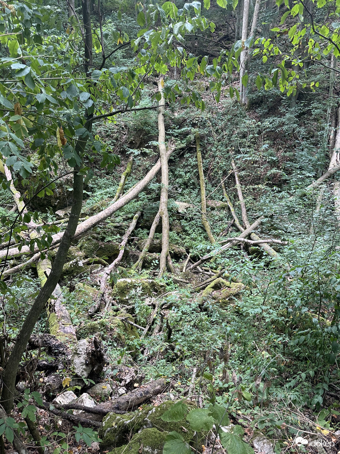 Szurdok 3