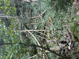 Szurdok 3