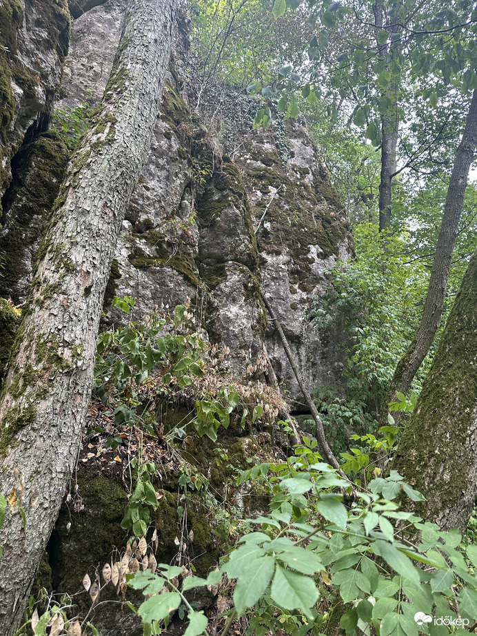 Szurdok 4