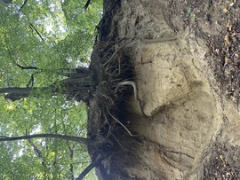 Mindjárt… 1
