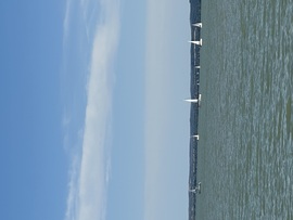 Balatoni panoráma 