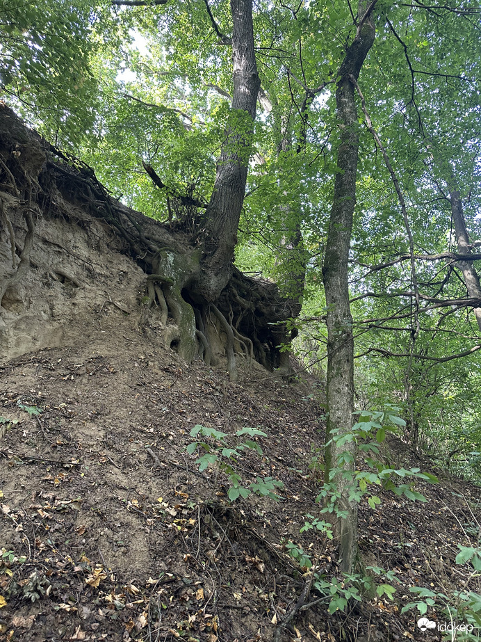 Mindjárt… 2