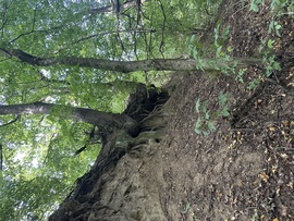 Mindjárt… 2