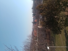 Napos tavaszi reggel