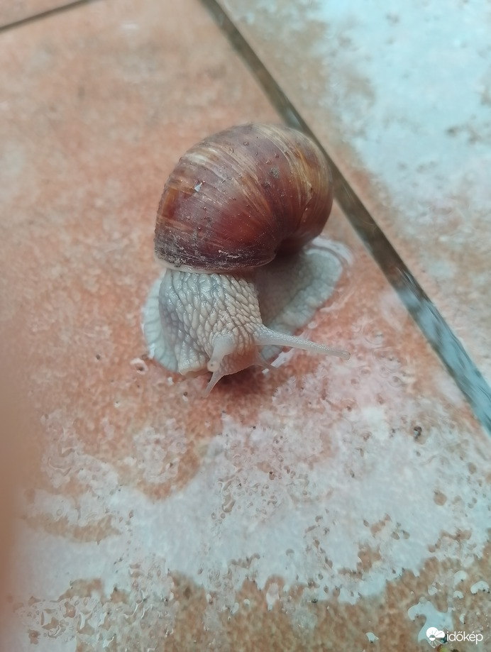 Ő is élvezi