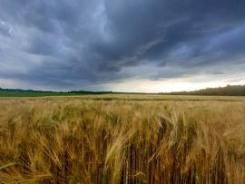 Közeledő vihar Győr határában 06.08.