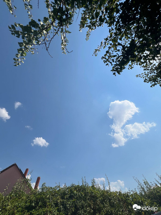 Pápa