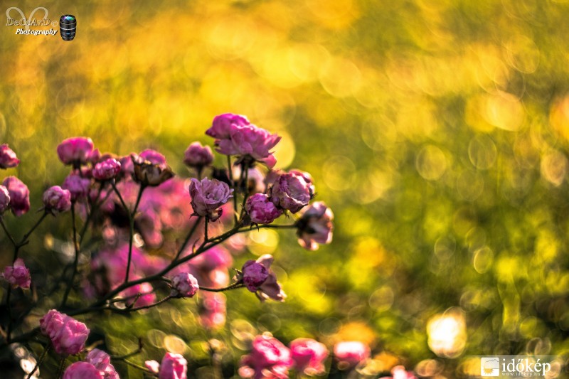 Lassan vége a szezonnak...