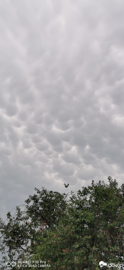 Újkígyós