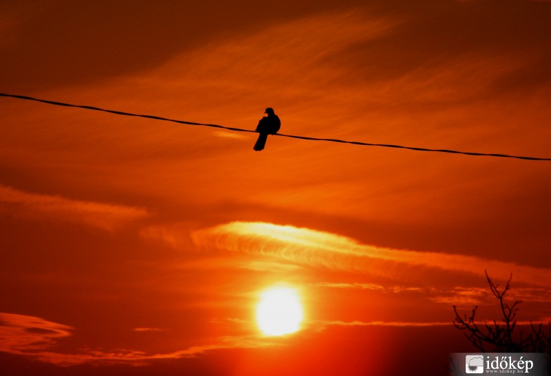 A felkelő nap fényében